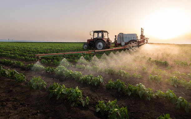 Best Wildlife Control Services  in Aurora, SD