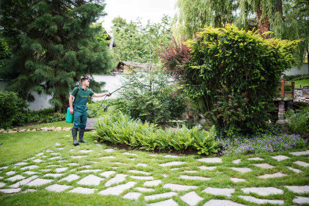 Wasp Removal Services in Aurora, SD