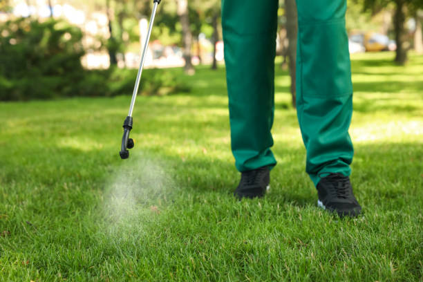 Best Mosquito Control Services  in Aurora, SD
