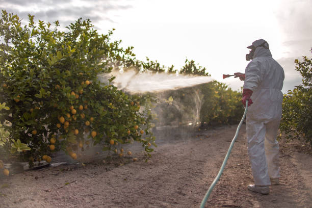 Insect Control in Aurora, SD