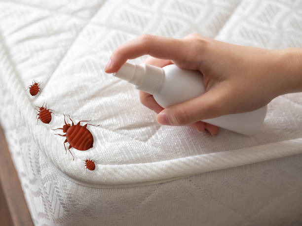Best Bed Bug Extermination  in Aurora, SD