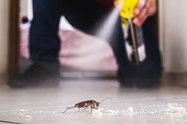 Reliable Aurora, SD Pest Control Solutions