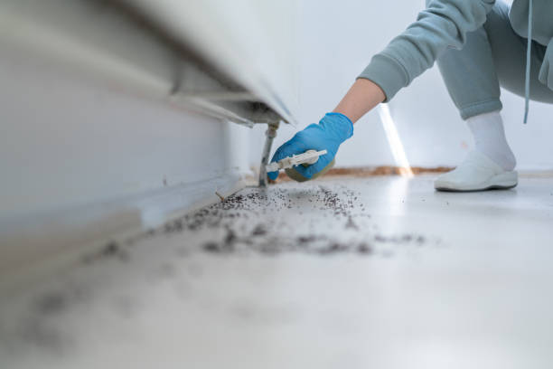 Pest Control for Restaurants in Aurora, SD